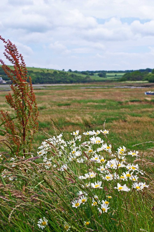 KONICA MINOLTA DIGITAL CAMERA